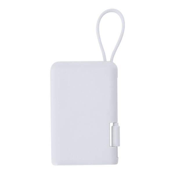 Power Bank Brandin